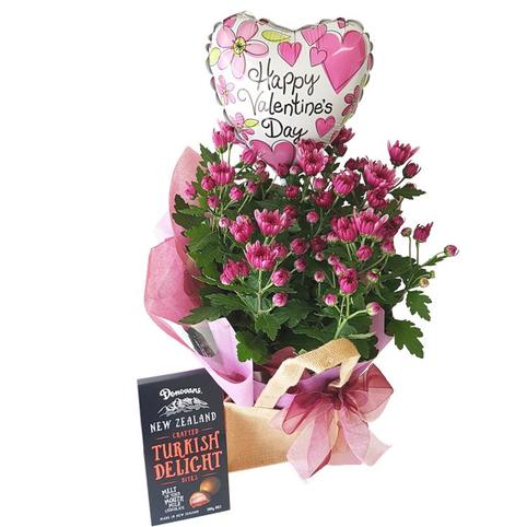 valentines day plant basket, pink chrysanthemum plant, valentines balloon, turkish delight chocolates.