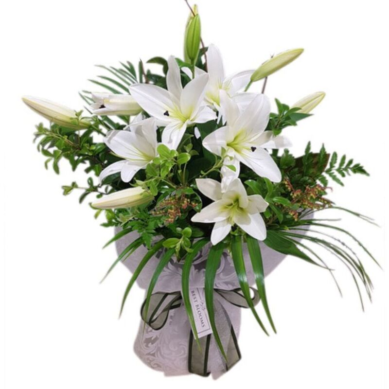 white Lilies Auckland, 