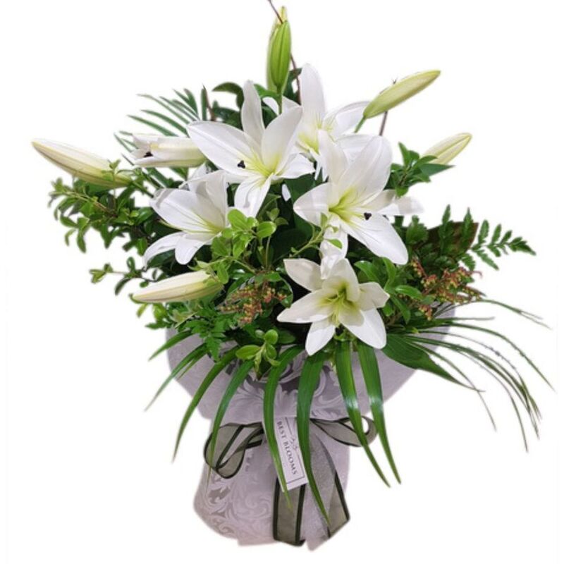 Free Flower Delivery to Albany, Auckland