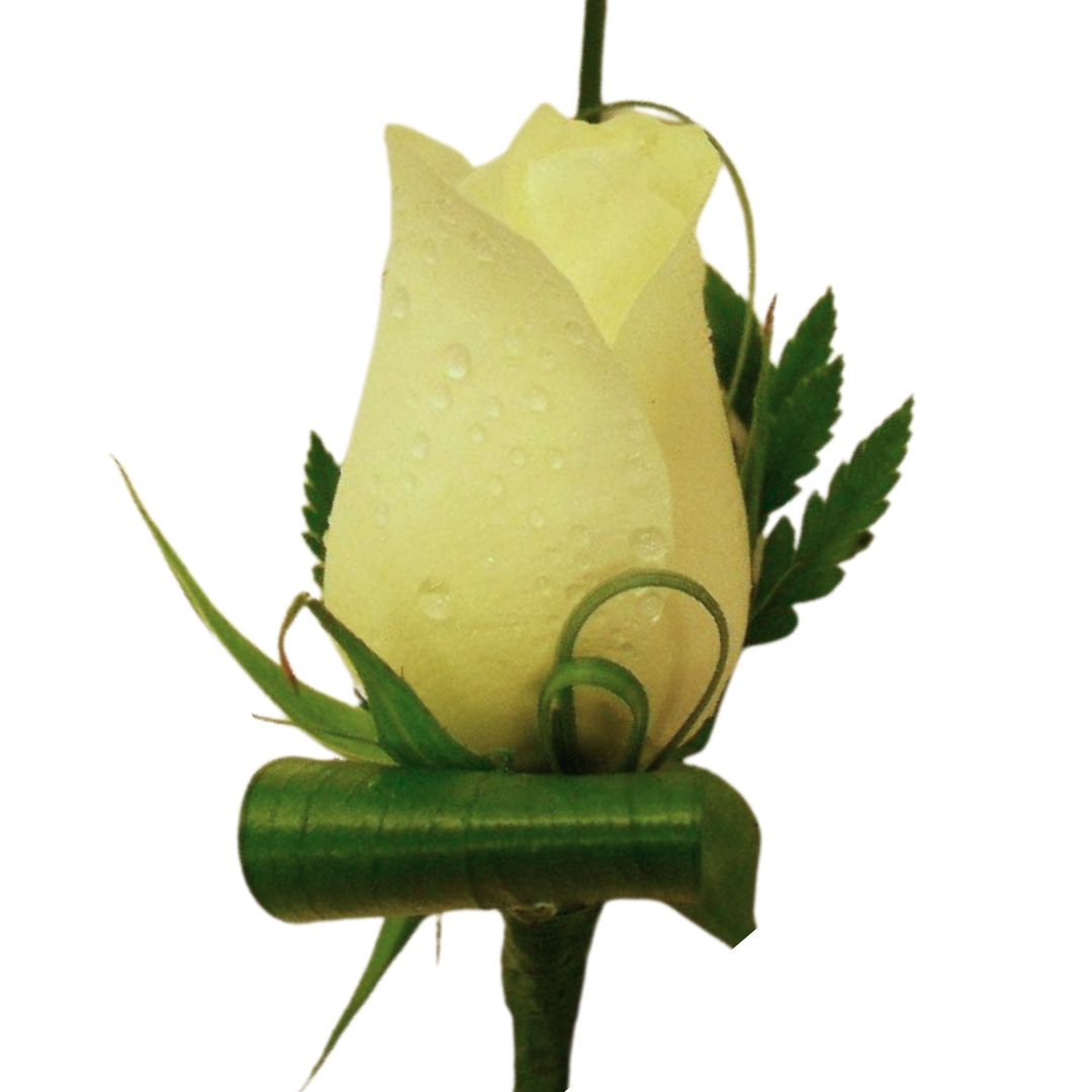 Rose buttonhole boutonniere for Auckland school ball
