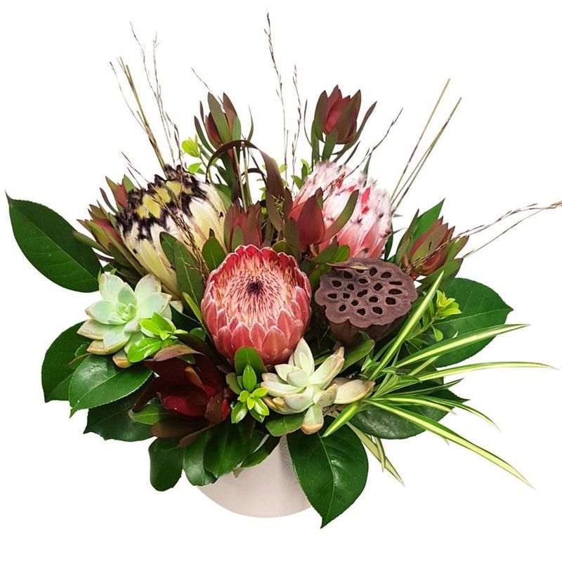 Winter Floral Arrangement including proteas, succulents, leucadendrons in white ceramic pot