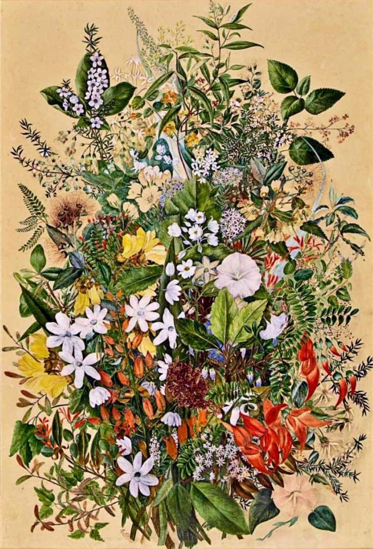 lithograph of mixed nz native florals