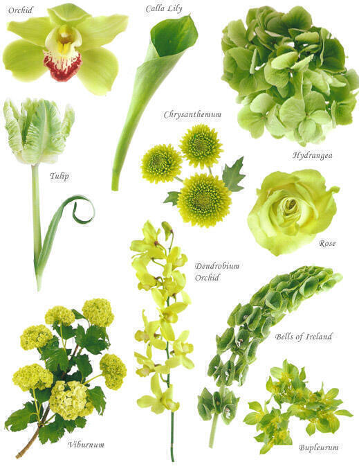 image showing a composite of different green flowers