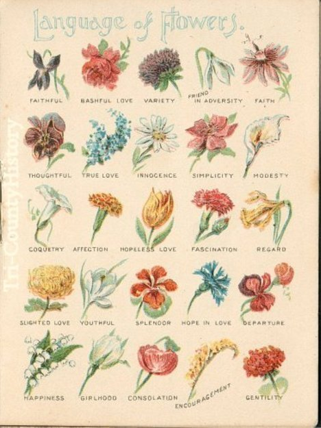 victorian vintage floriography
