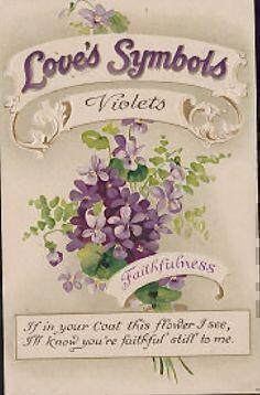 meaning of flowers violets