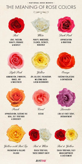 meaning of rose colours